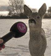 Interview time